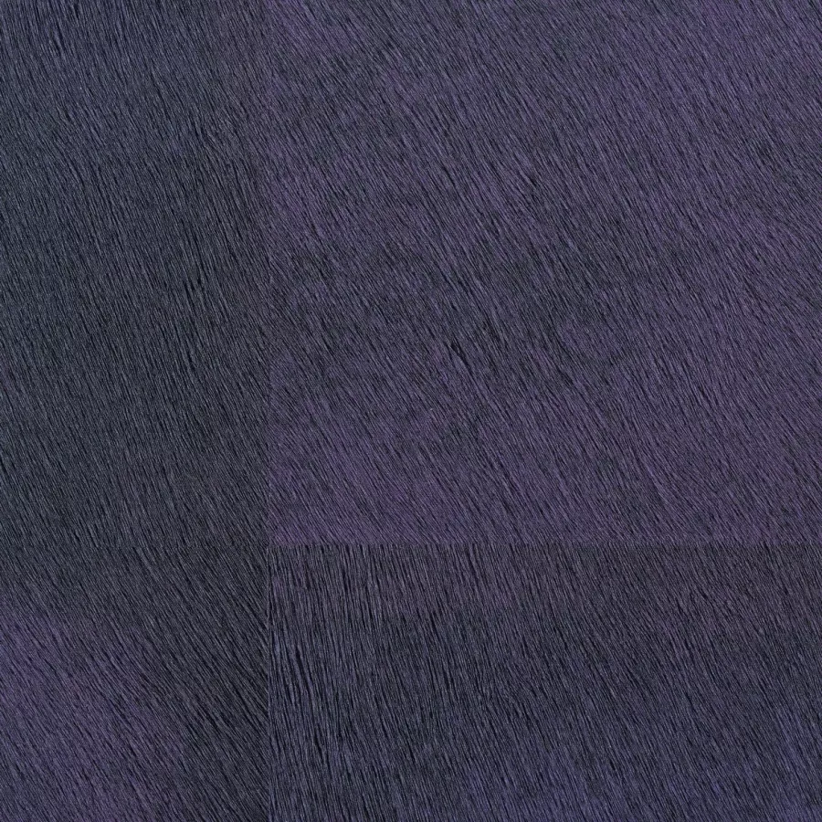 Mémoires Loup VP656 08