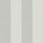 Preview: Broad Stripe Forum