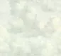 Preview: Cumulus 351283 Morning Mist