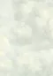 Preview: Cumulus 351283 Morning Mist
