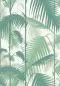 Preview: Palm Jungle 95/1002