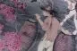 Preview: Decors Toile de Tibet 97690 Pink Blossom