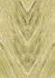 Preview: Orobico olive DGCAL204-300