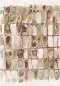 Preview: Salina Elm DGERO204-260