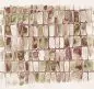 Preview: Salina Elm DGERO204-260