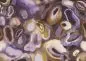 Preview: Acharius Astral DGERO303-260