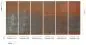 Preview: Corrosion Rust DGERO401-300