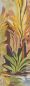 Preview: Taiga Jungle DGRAY202-260