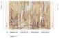Preview: Taiga Andorra DGRAY204-300