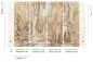 Preview: Taiga Andorra DGRAY204-300