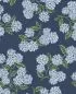 Preview: Hydrangea RI5142 Blue