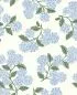 Preview: Hydrangea RI5143 White/Blue