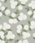Preview: Hydrangea RI5144 Grey