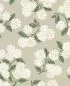 Preview: Hydrangea RP7394 Beige