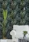 Preview: Lush Succulents WP20164
