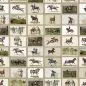 Preview: ENGLISH EQUESTRIAN STAMPS WP20631