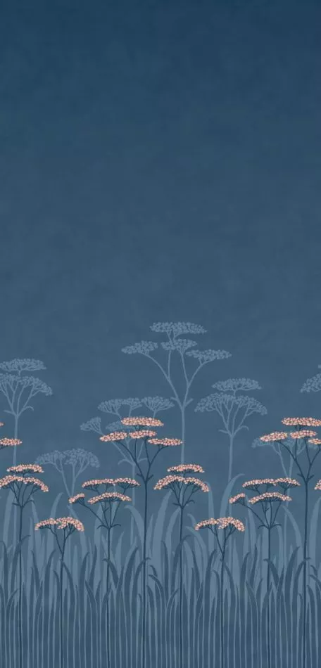 Achillea - Nighttide