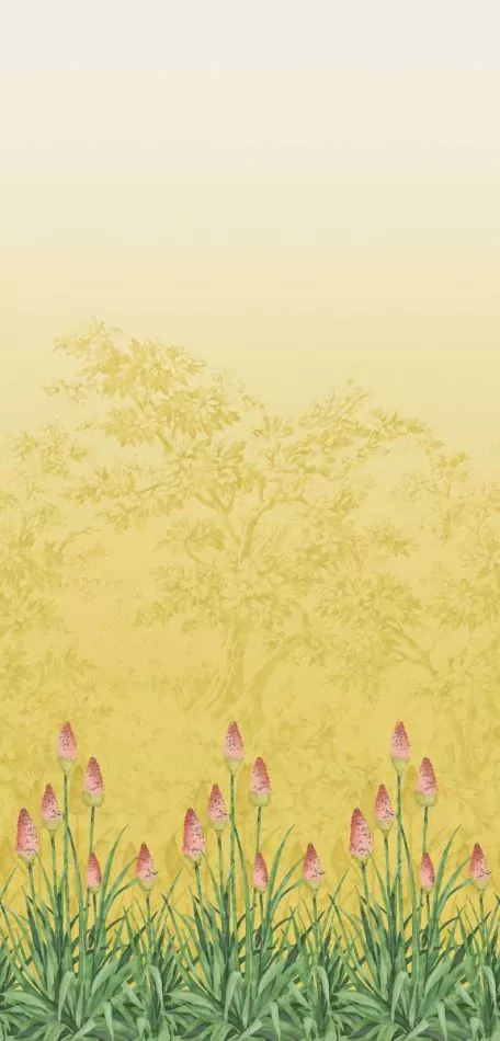 Upper Brook Street - Soleil