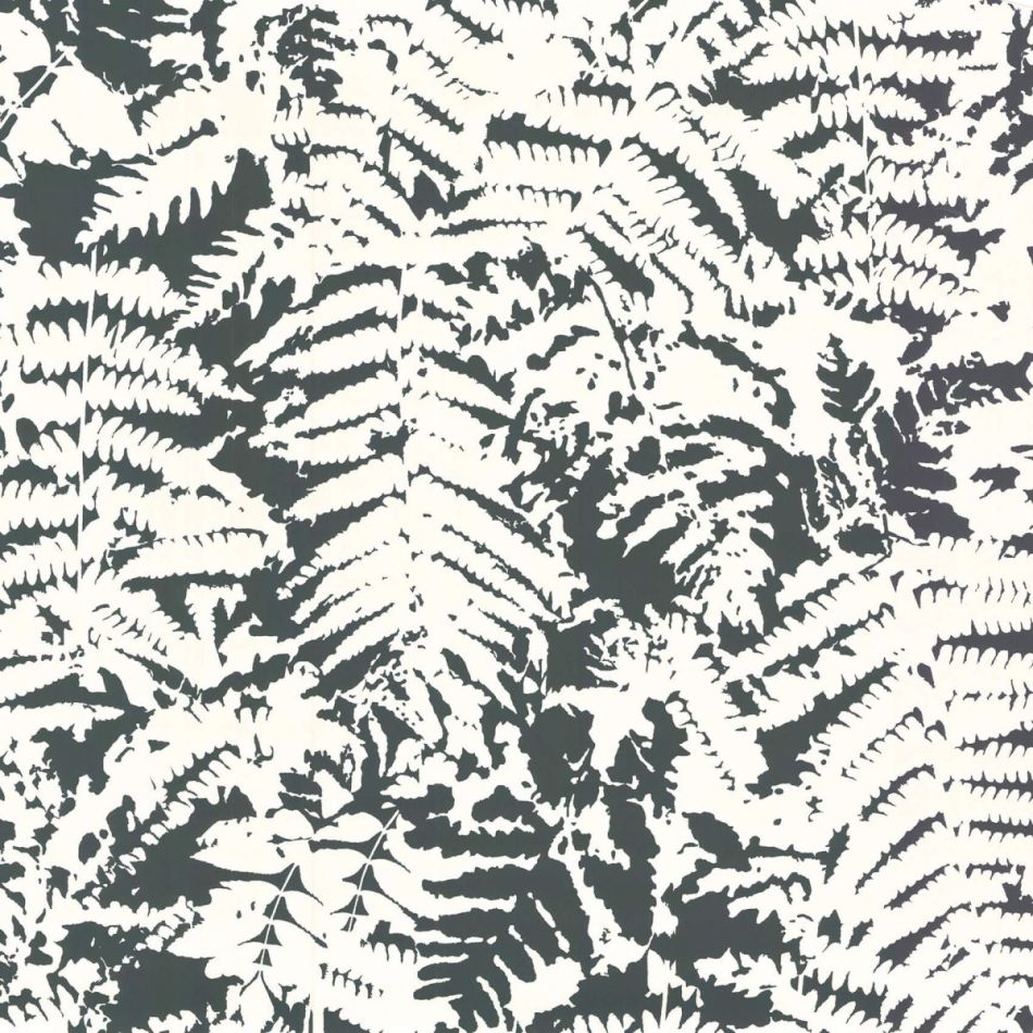 Preview: Fern - Off Black