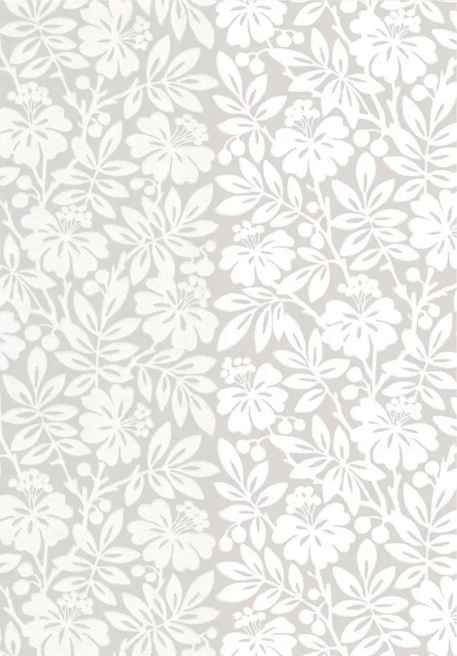 Carlisle Street - Gentle Grey