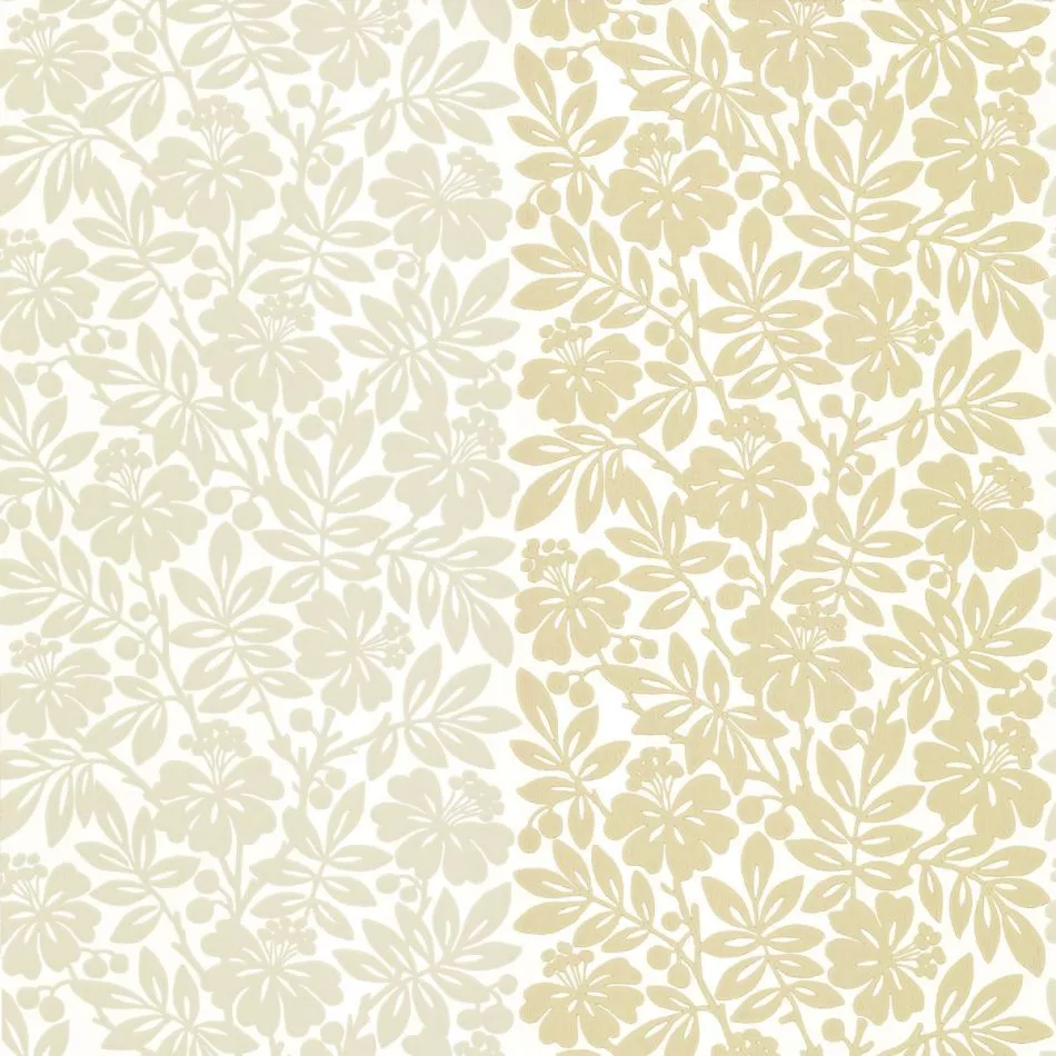 Carlisle Street - Oak Apple
