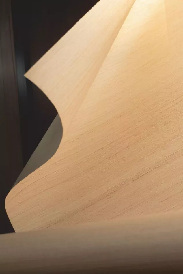 Pur abaca RM1071 03 Saisir l'émotion