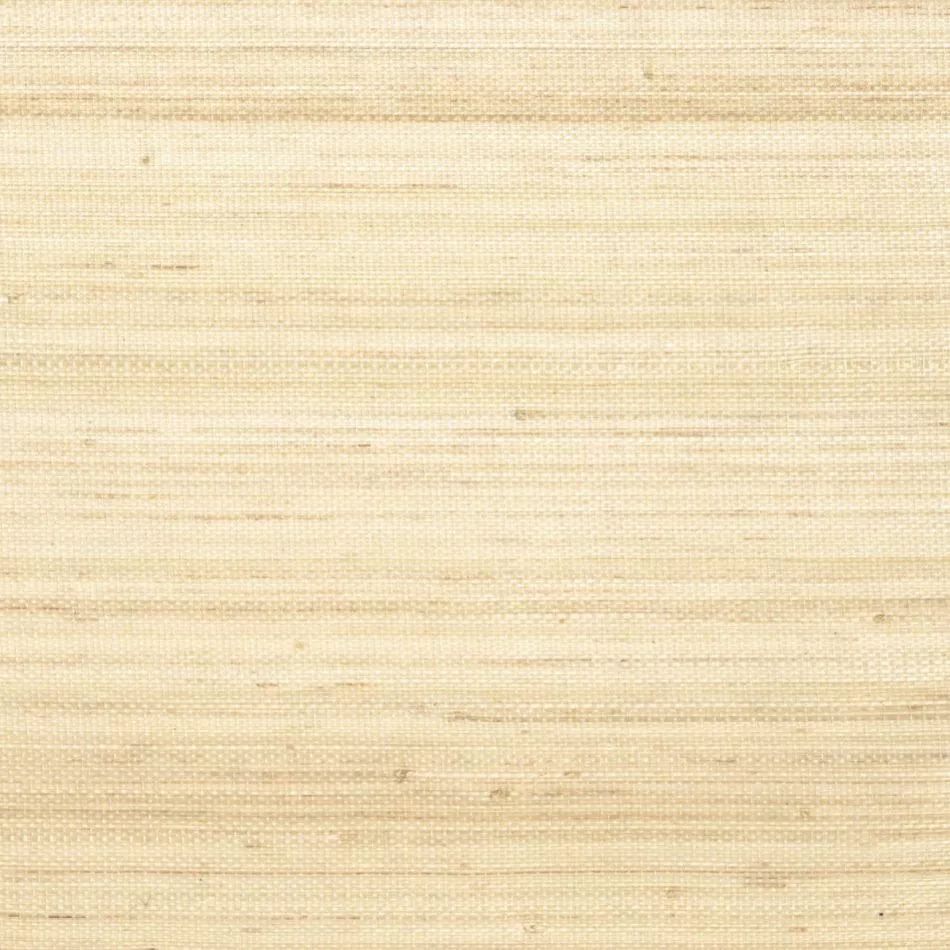 Pur abaca RM1071 03 Saisir l'émotion