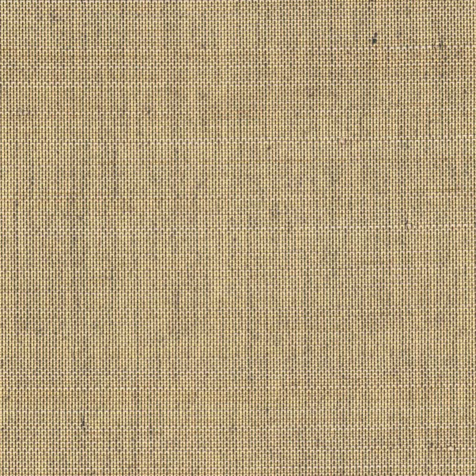 Pur abaca RM1071 91 Une dimension céleste