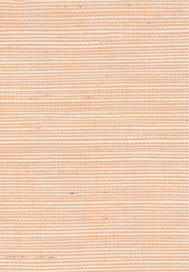 Preview: Sisal métallique RM1073 50 Une valeur refuge