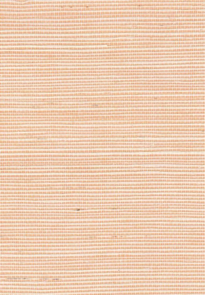 Sisal métallique RM1073 50 Une valeur refuge