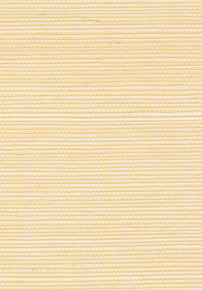 Preview: Sisal métallique RM1073 91 Le temple du luxe