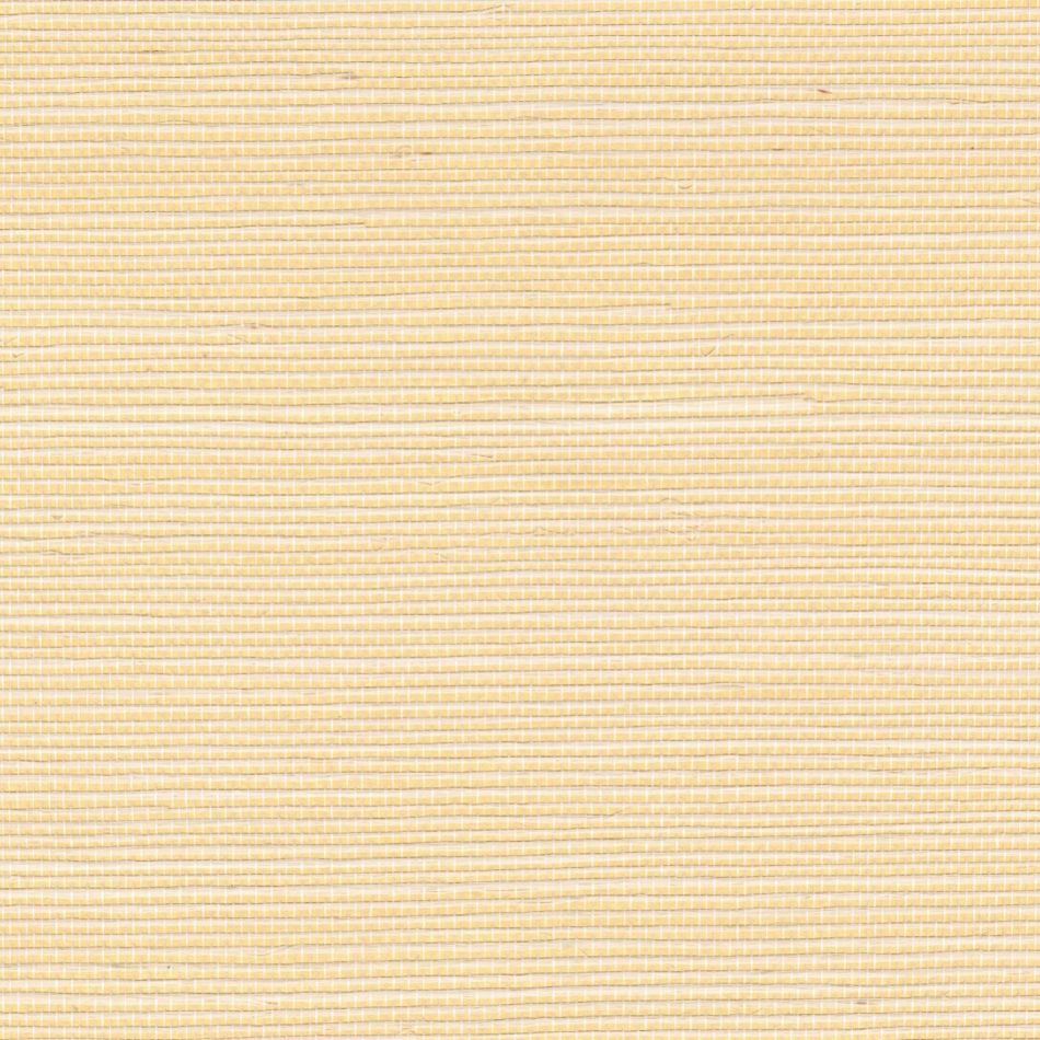 Preview: Sisal métallique RM1073 91 Le temple du luxe