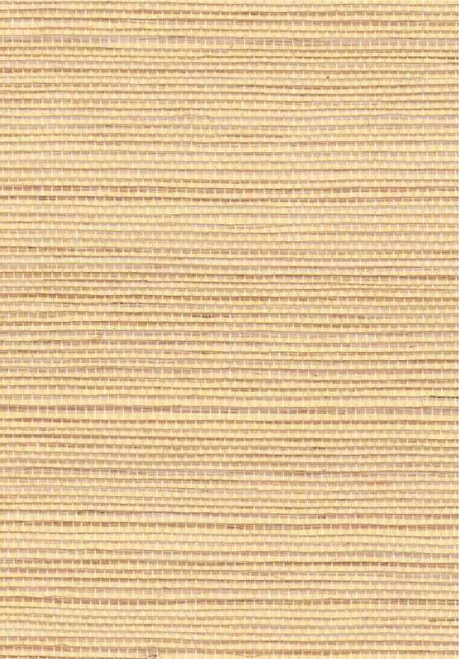 Sisal métallique RM1073 92