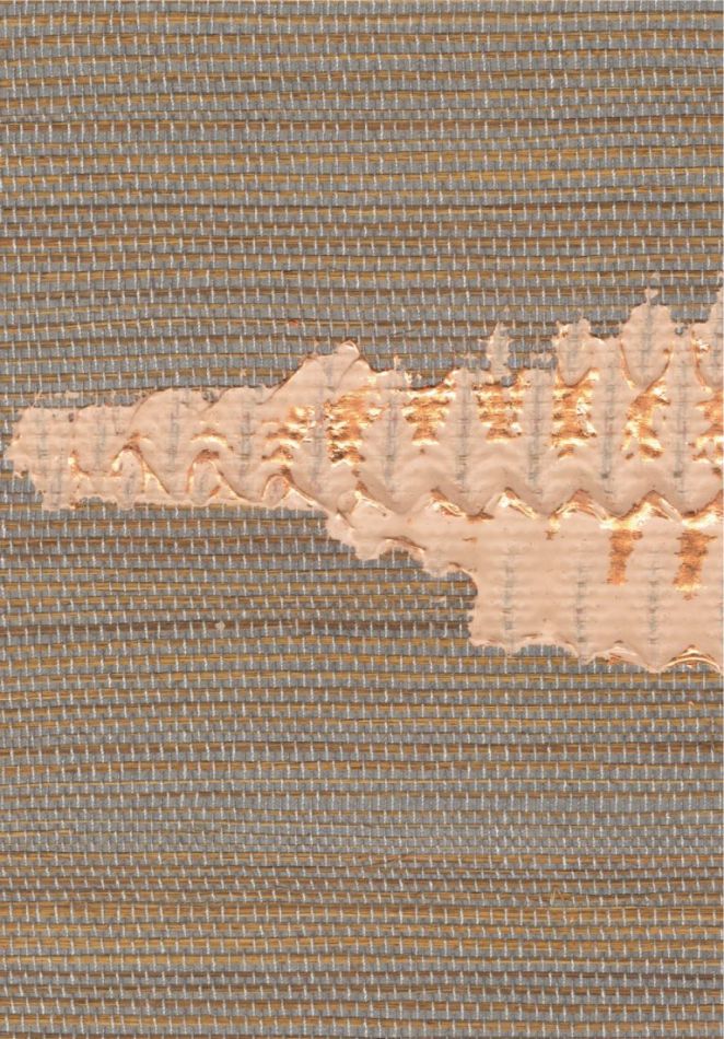 Preview: Orion RM1075 05 Un précieux enrichissement