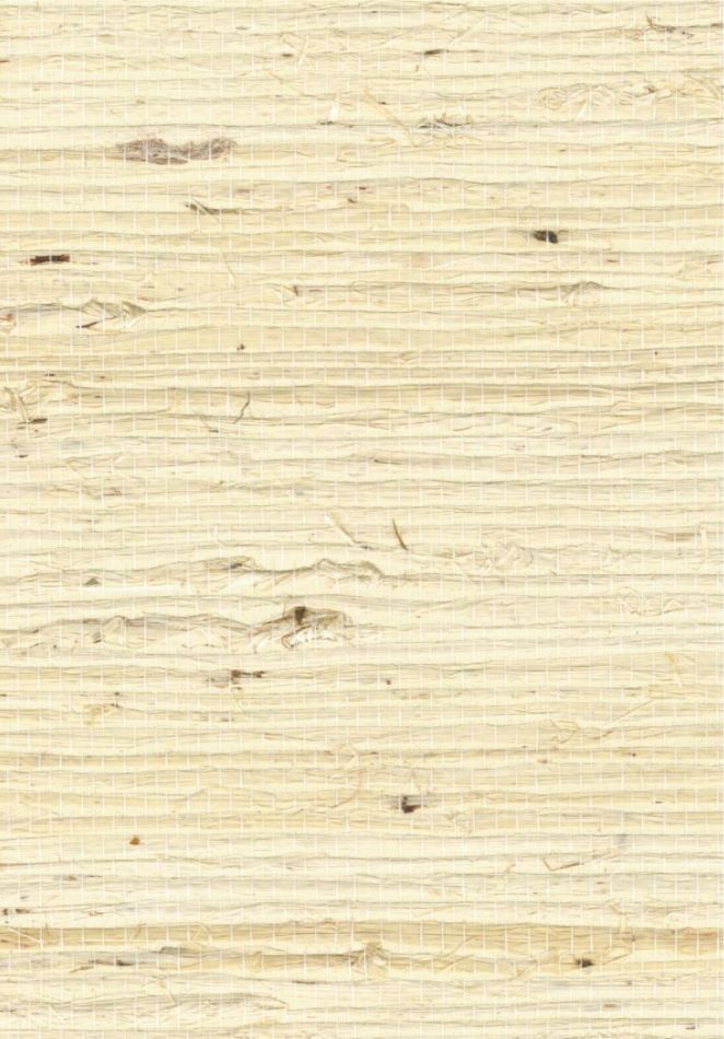 Preview: Grasscloth RM1083 01