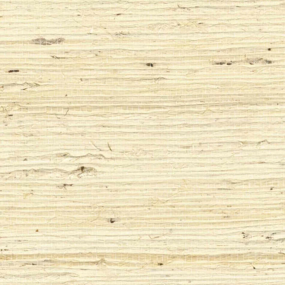 Grasscloth RM1083 01