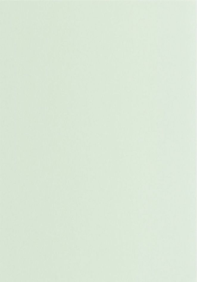 Preview: Pigments 200336161 Vert d'eau