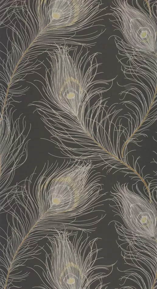 Revue 201079957 Noir fusain/or