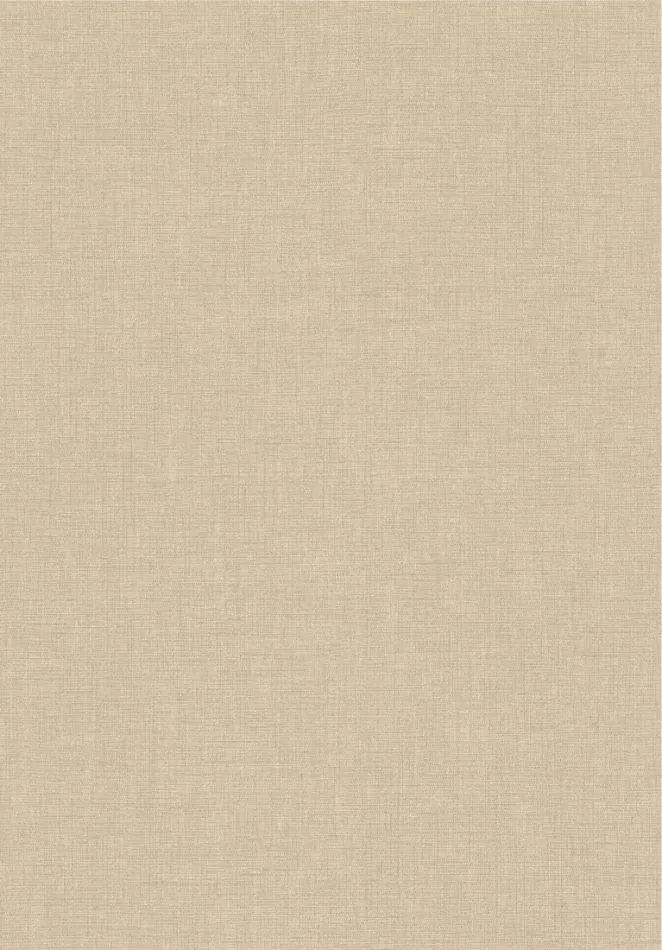 Caractère 201171313 Beige Lin