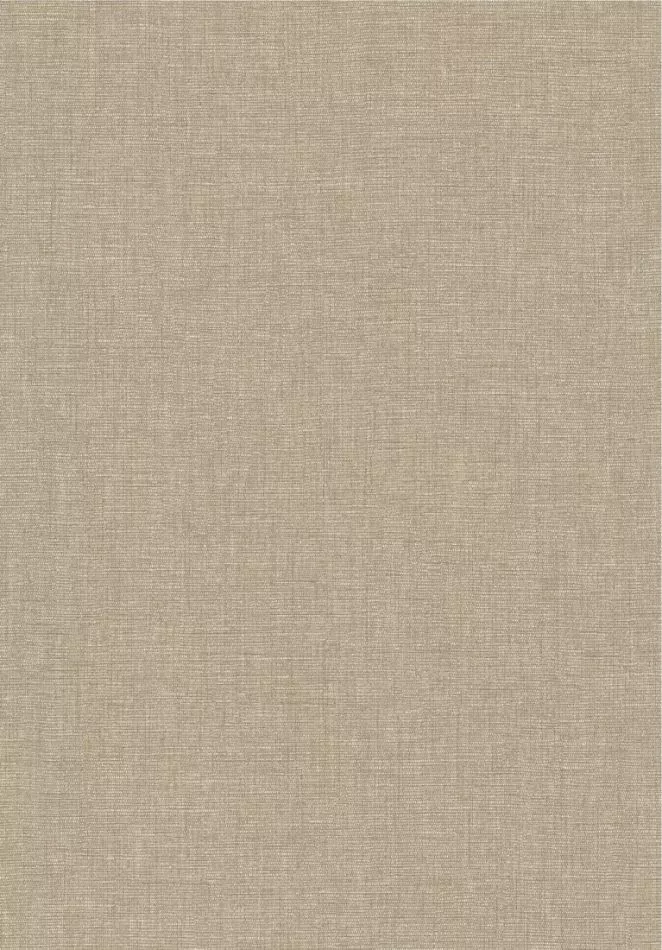 Caractère 201171505 Taupe