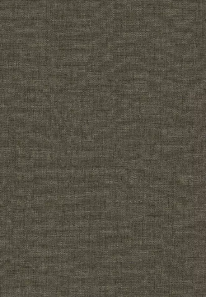 Caractère 201179889 Noir fusain