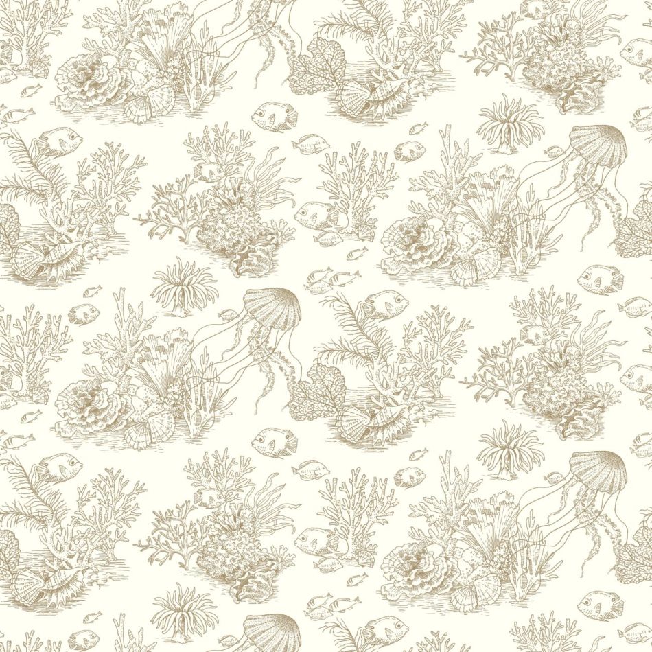 Preview: Côte sauvage 201471515 Mordore