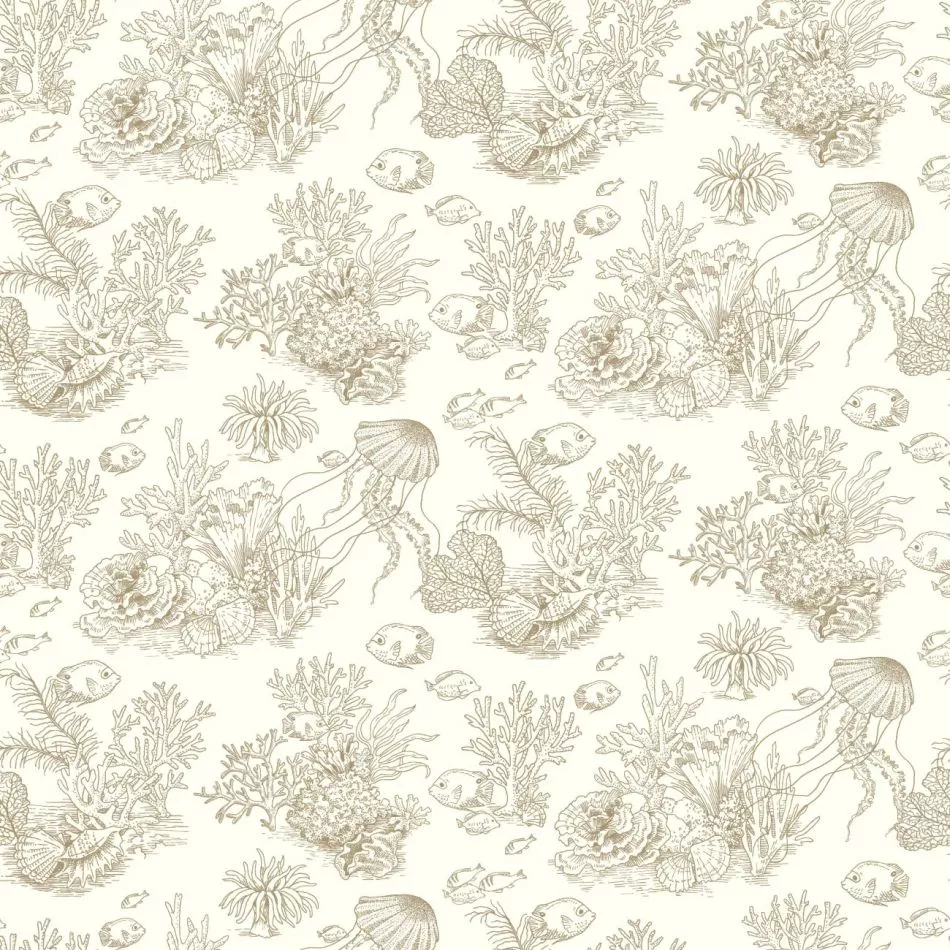 Côte sauvage 201471515 Mordore