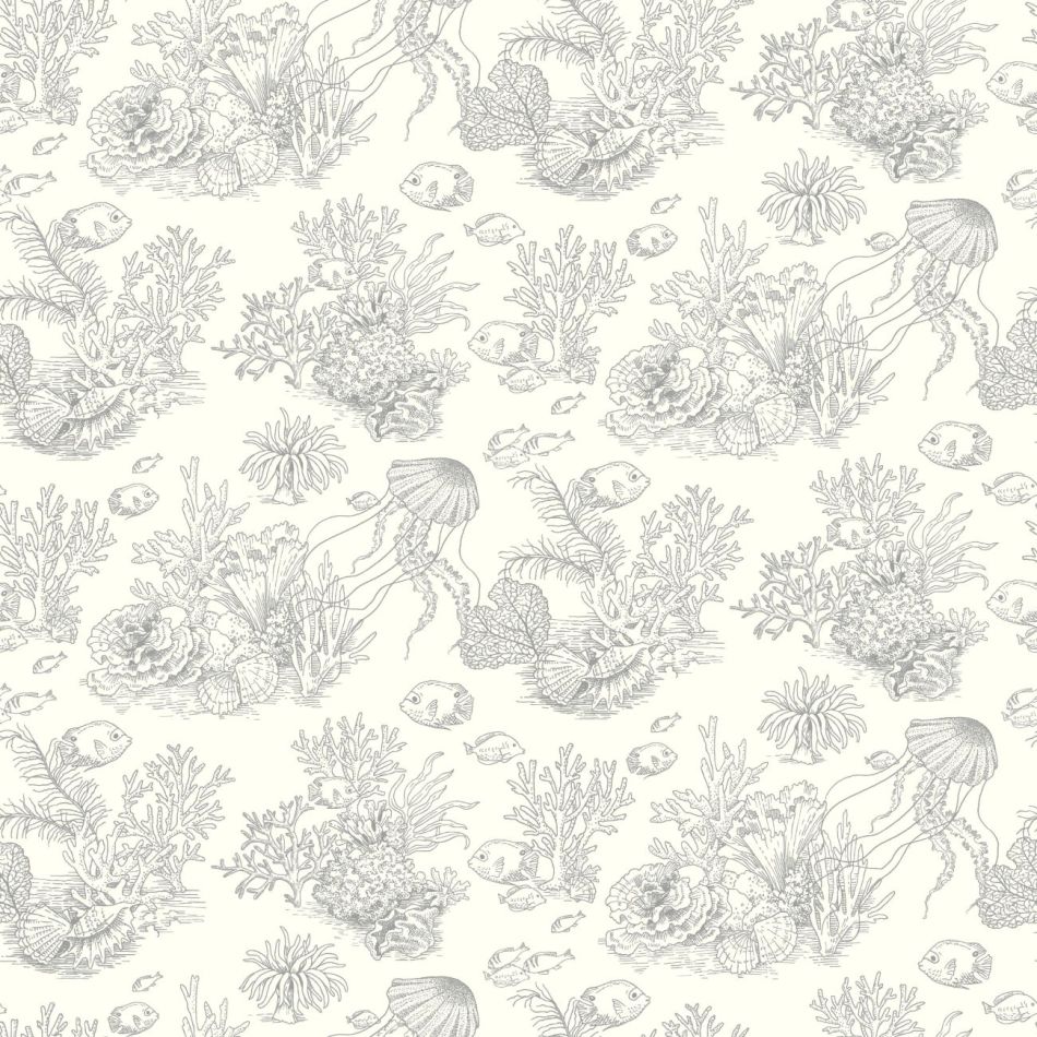 Preview: Côte sauvage 201479101 Gris mouette