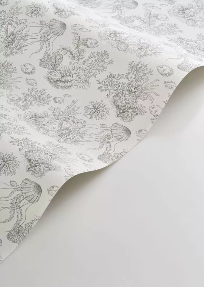 Côte sauvage 201479101 Gris mouette