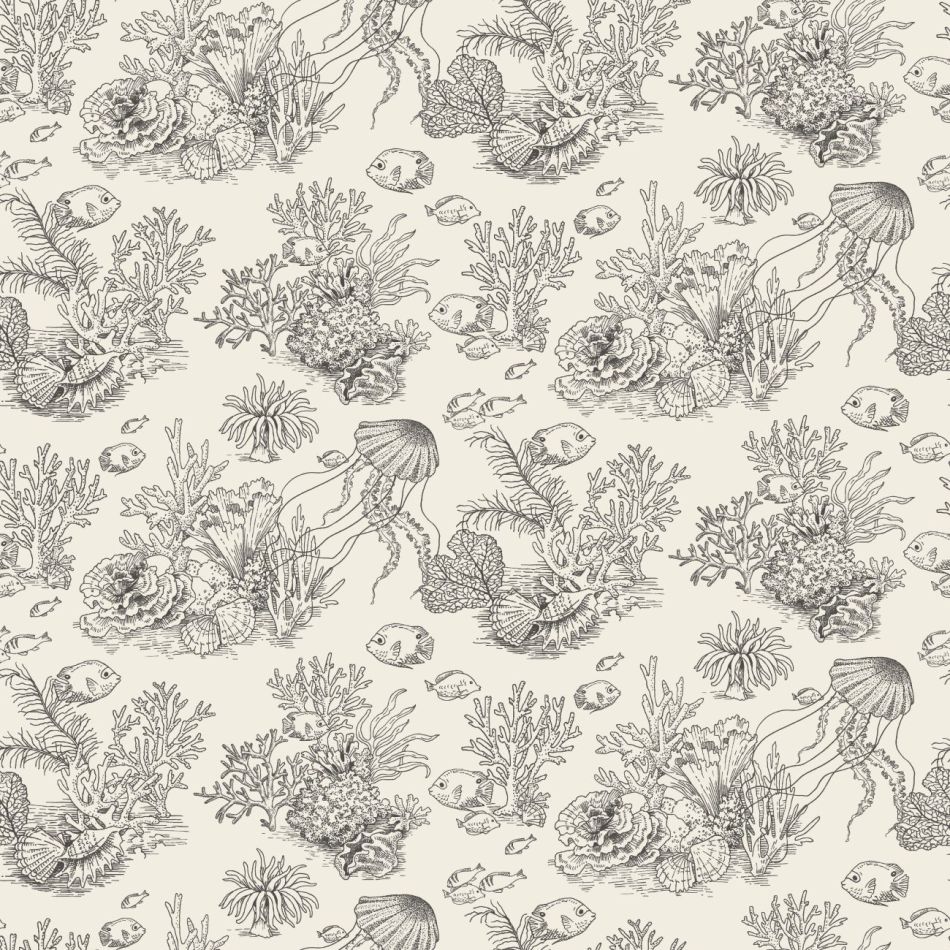 Preview: Côte sauvage 201479559 Noir fusain