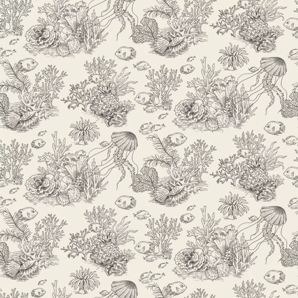 Côte sauvage 201479559 Noir fusain