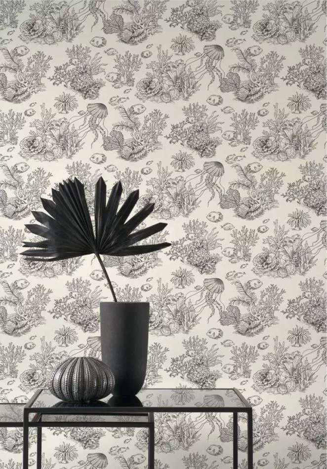 Côte sauvage 201479559 Noir fusain