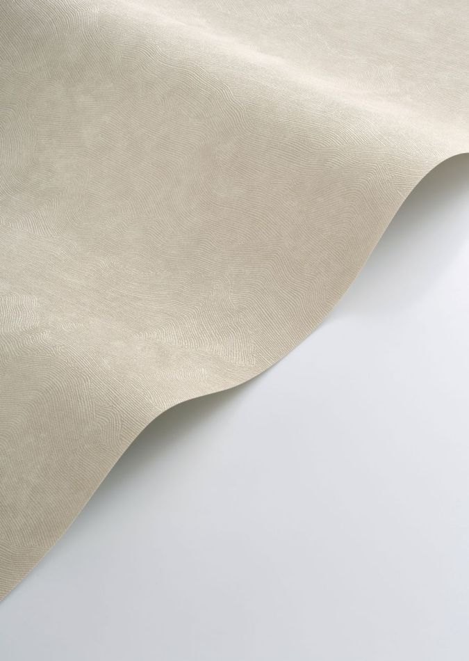 Preview: Côte d’Opale 201491414 Beige sable