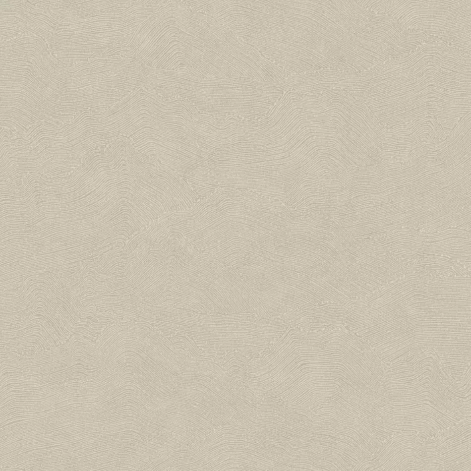 Côte d’Opale 201491818 Taupe